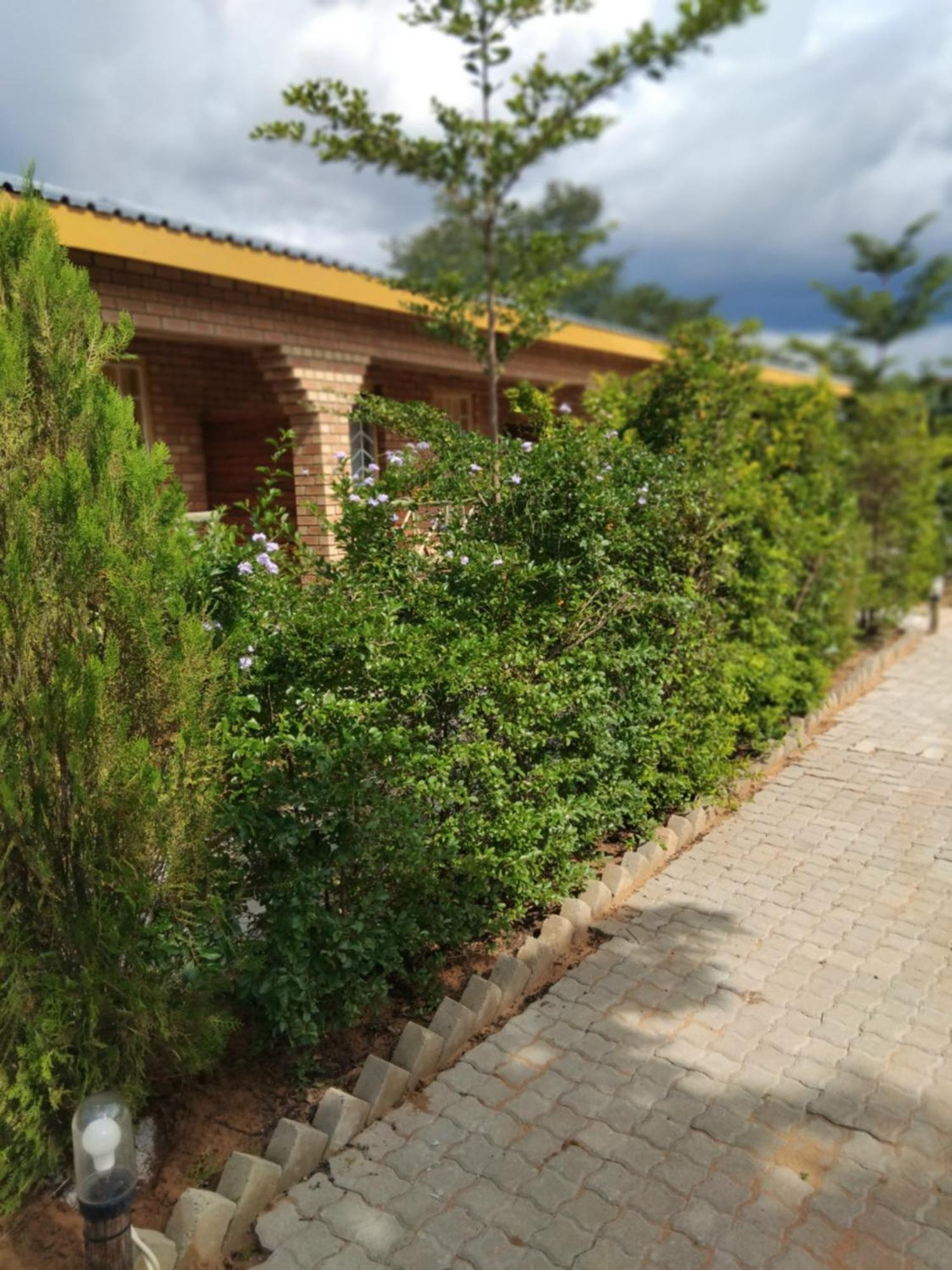 Sunshinevibe Guest House Касане Екстер'єр фото